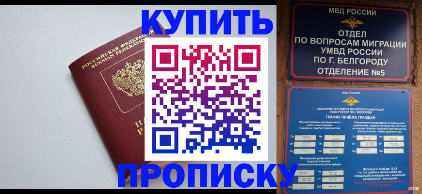 прописка регистрация в Новоузенске